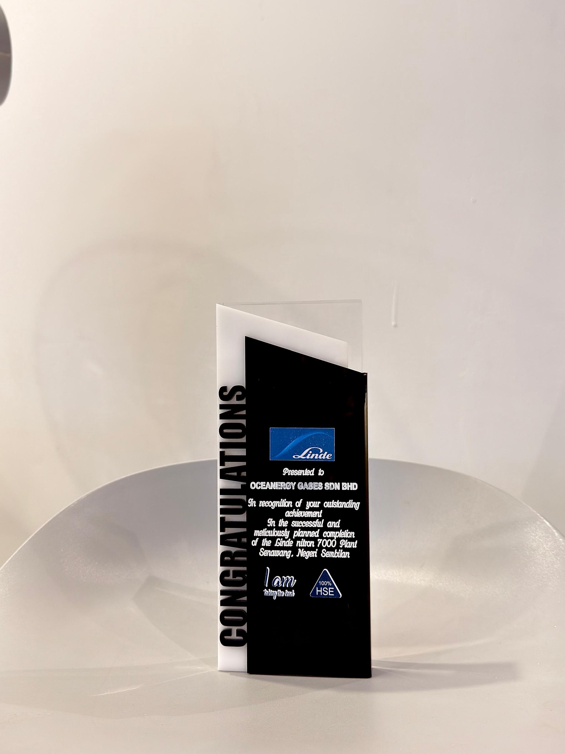 HSE Outstanding Achievement